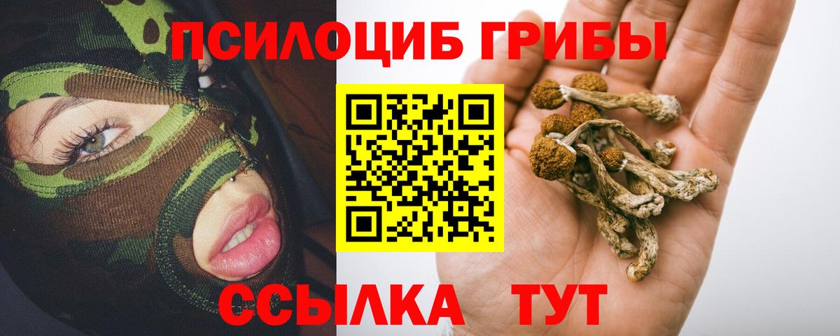 Галлюциногенные грибы мухоморы  Вход с VPN  Галлюциногенные грибы Cubensis  Егорьевск 